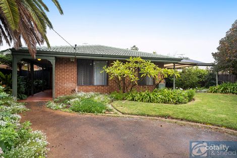 Property photo of 429 Karrinyup Road Innaloo WA 6018