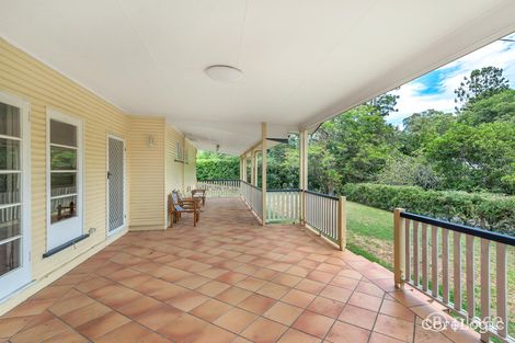 Property photo of 49 Todd Street Taringa QLD 4068