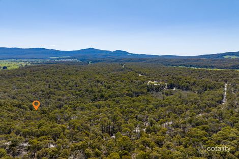 Property photo of 449 Elephant Pass Road Gray TAS 7215