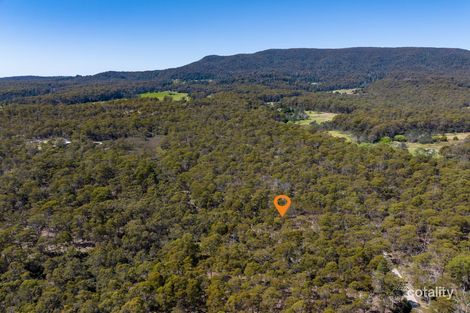 449 Elephant Pass Rd, Gray, TAS 7215