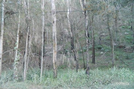 Property photo of 132 Webbs Creek Road Webbs Creek NSW 2775