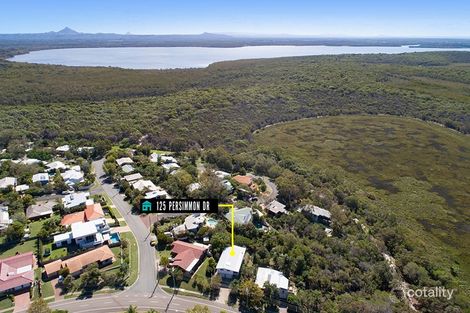 Property photo of 125 Persimmon Drive Peregian Beach QLD 4573