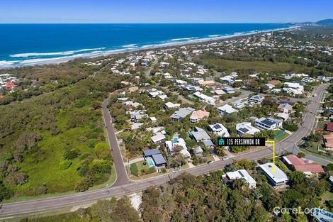 Property photo of 125 Persimmon Drive Peregian Beach QLD 4573