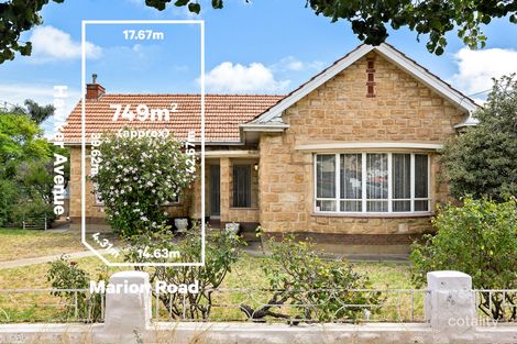 536 Marion Rd, Plympton Park, SA 5038