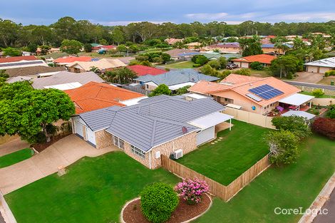 Property photo of 11 Ashwood Circuit Birkdale QLD 4159