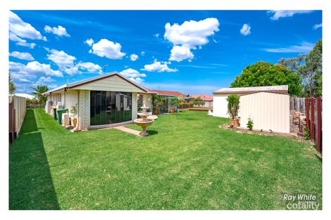 Property photo of 14 Zamia Way Gracemere QLD 4702