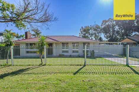 Property photo of 39 Redgum Avenue Bellevue WA 6056