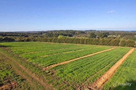 Property photo of 1413 Mornington-Flinders Road Main Ridge VIC 3928