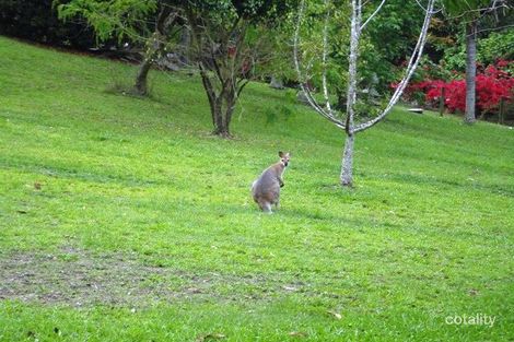 Property photo of 32 Bradman Drive Currumbin Valley QLD 4223
