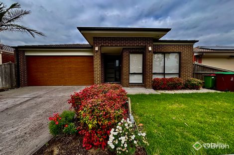 78 Frankland St, Clyde North, VIC 3978