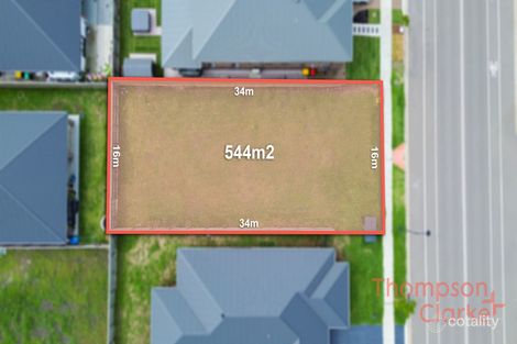 Property photo of 265 Settlers Boulevard Chisholm NSW 2322