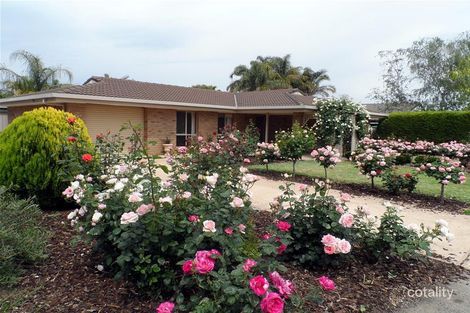 58 Para Rd, Tanunda, SA 5352