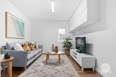 Property photo of 23 Pacific Avenue Penshurst NSW 2222
