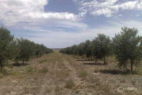 Rowlands Hill Rd, Coromandel Valley, SA 5051