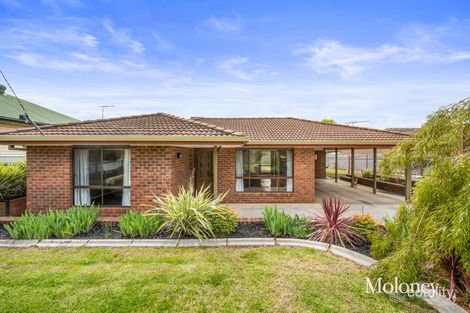 56 Dennison St, Wahgunyah, VIC 3687