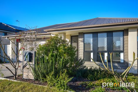 Property photo of 33 Cooper Drive Collingwood Park QLD 4301