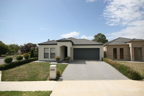 Property photo of 4 McKellar Terrace Morphettville SA 5043