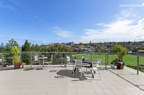 Property photo of 3/117-119 Dolphin Street Coogee NSW 2034