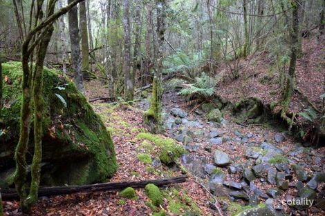 Property photo of 1 Cornwall Road St Marys TAS 7215