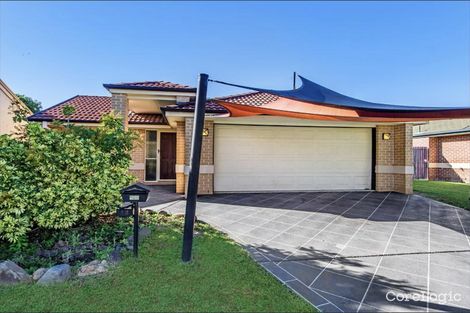 Property photo of 12 Brocket Avenue Upper Coomera QLD 4209