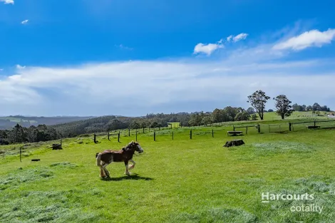 Property photo of 1384 Ridgley Highway Highclere TAS 7321
