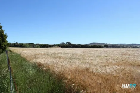 Property photo of 485 Hannans Road Balliang VIC 3340