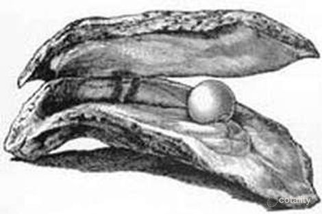 605 Pindari Dam Rd, Pindaroi, NSW 2361