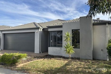 62 Halesworth Pde, Butler, WA 6036