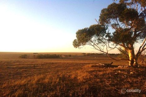 32 Swincer Rd, Minlaton, SA 5575