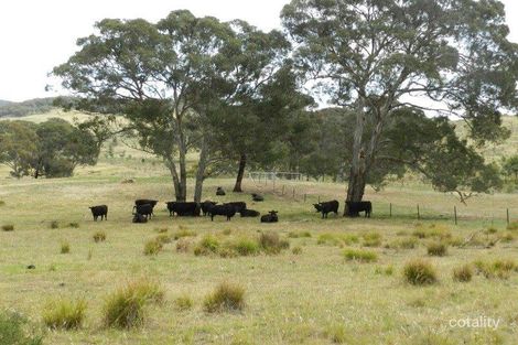 Property photo of 787 Crookwell Road Kingsdale NSW 2580