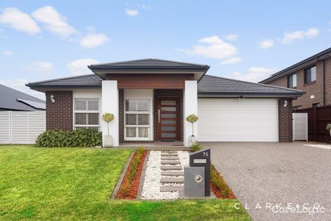 Property photo of 75 Dragonfly Drive Chisholm NSW 2322