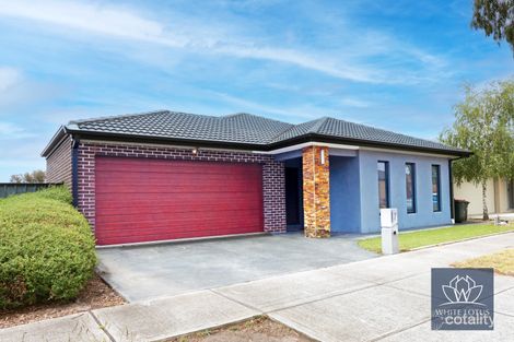 Property photo of 7 Gardner Terrace Craigieburn VIC 3064