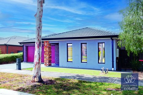 Property photo of 7 Gardner Terrace Craigieburn VIC 3064