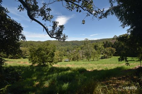 Property photo of 149 Coopers Creek Road Repentance Creek NSW 2480