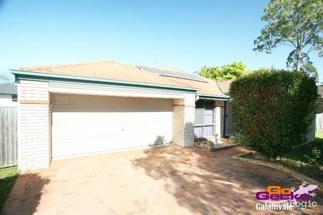 Property photo of 8 Bellavista Close Calamvale QLD 4116