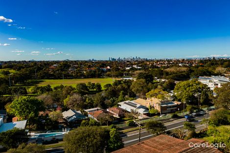 Property photo of 58 Osroy Avenue Earlwood NSW 2206