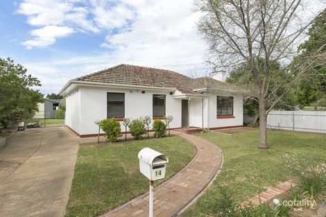 Property photo of 14 Tait Avenue Marion SA 5043