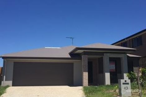 Property photo of 43 Oxenham Circuit Augustine Heights QLD 4300