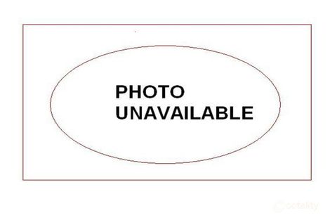 Property photo of 242 Senate Road Port Pirie West SA 5540