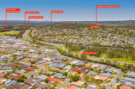 Property photo of 5 Teak Tree Road Loganholme QLD 4129
