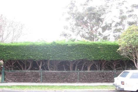 9 Jennings St, Sandringham, VIC 3191