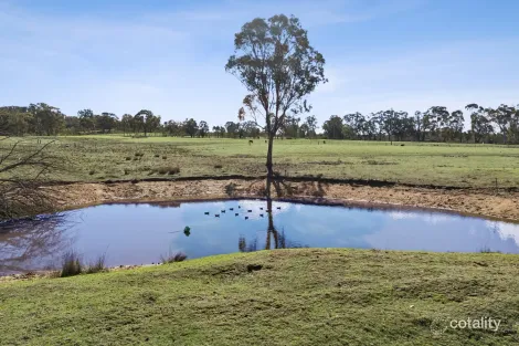 Property photo of 4405 Bylong Valley Way Upper Growee NSW 2849