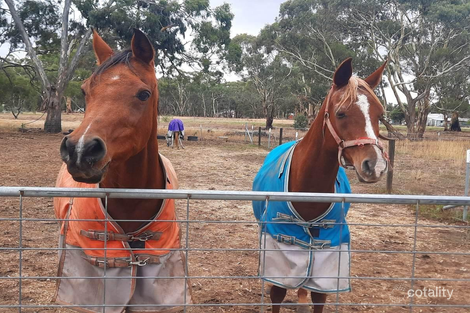 15 Cameron St, Glenorchy, VIC 3385