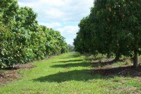 Property photo of 36688 Bruce Highway Takilberan QLD 4671