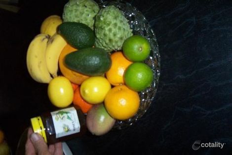 Property photo of 36688 Bruce Highway Takilberan QLD 4671