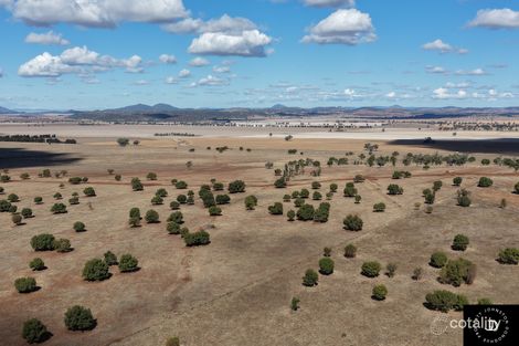 409 Bakers Lane, Goolhi, NSW 2379