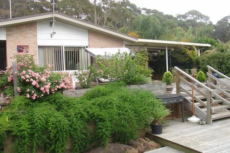 Property photo of 44 Murramarang Road Bawley Point NSW 2539