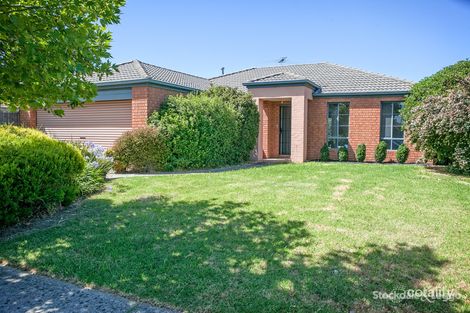 Property photo of 14 Park Boulevard Pakenham VIC 3810