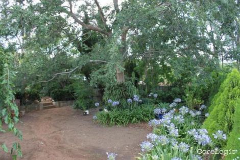 Property photo of 11 Smith Street Scone NSW 2337