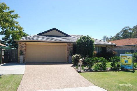 Property photo of 43 Chippendale Crescent Currumbin Waters QLD 4223